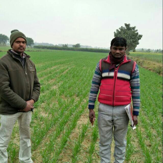 Atma yojna antargat Ravi farm school vikas khand Harriya Satghrwaa Balrampur ATM santosh Kumar Verma