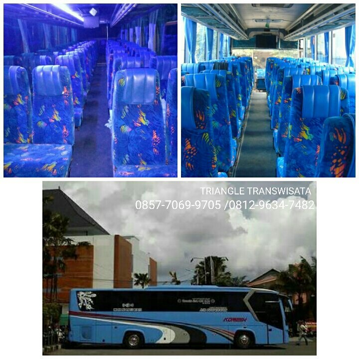 TTranswisata's tweet photo. Pusat sewa Bus pariwisata murah Tangerang 085770699705 (wa) #sewabus #sewabusmurah #sewabusserpong #travel #travels #rental #paketwisata https://t.co/0pVOx5zp3A