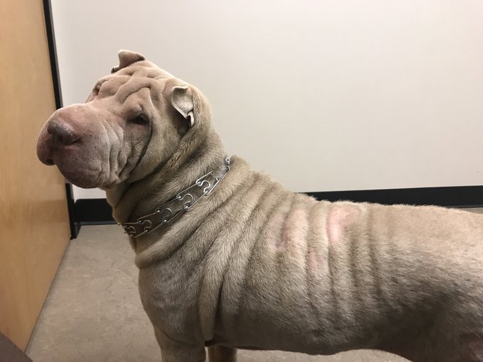 Watch Fauna Grey's leaked NSFW photo on TwXstars