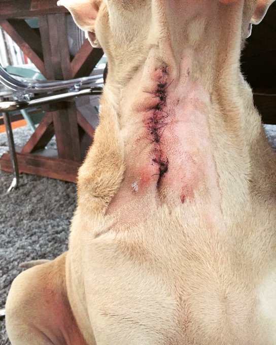 Watch Fauna Grey's leaked NSFW photo on TwXstars