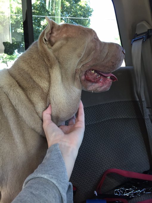 Watch Fauna Grey's leaked NSFW photo on TwXstars