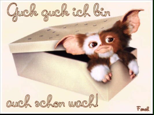 O Xrhsths Marlies Ziegeler Sto Twitter Einen Lieben Gruss Am Fruhen Morgen Aus Dem 11 Eisigen Dunklen Uelzen In Die Runde Gewunscht Kommt Gesund Und Unversehrt Durch Den Samstag Liebe Twitterherzenbande Kaffee
