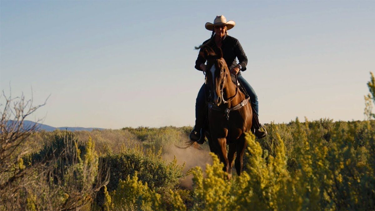 Alexander_NYC's tweet photo. Meet Jenny Lancaster - a natural horsemanship horse trainer in her #WatchOutWorld episode! https://t.co/KtKLPCsUTn #pursuegreatness #alwaysontime #alexanderlife https://t.co/kDTcsvvDIQ