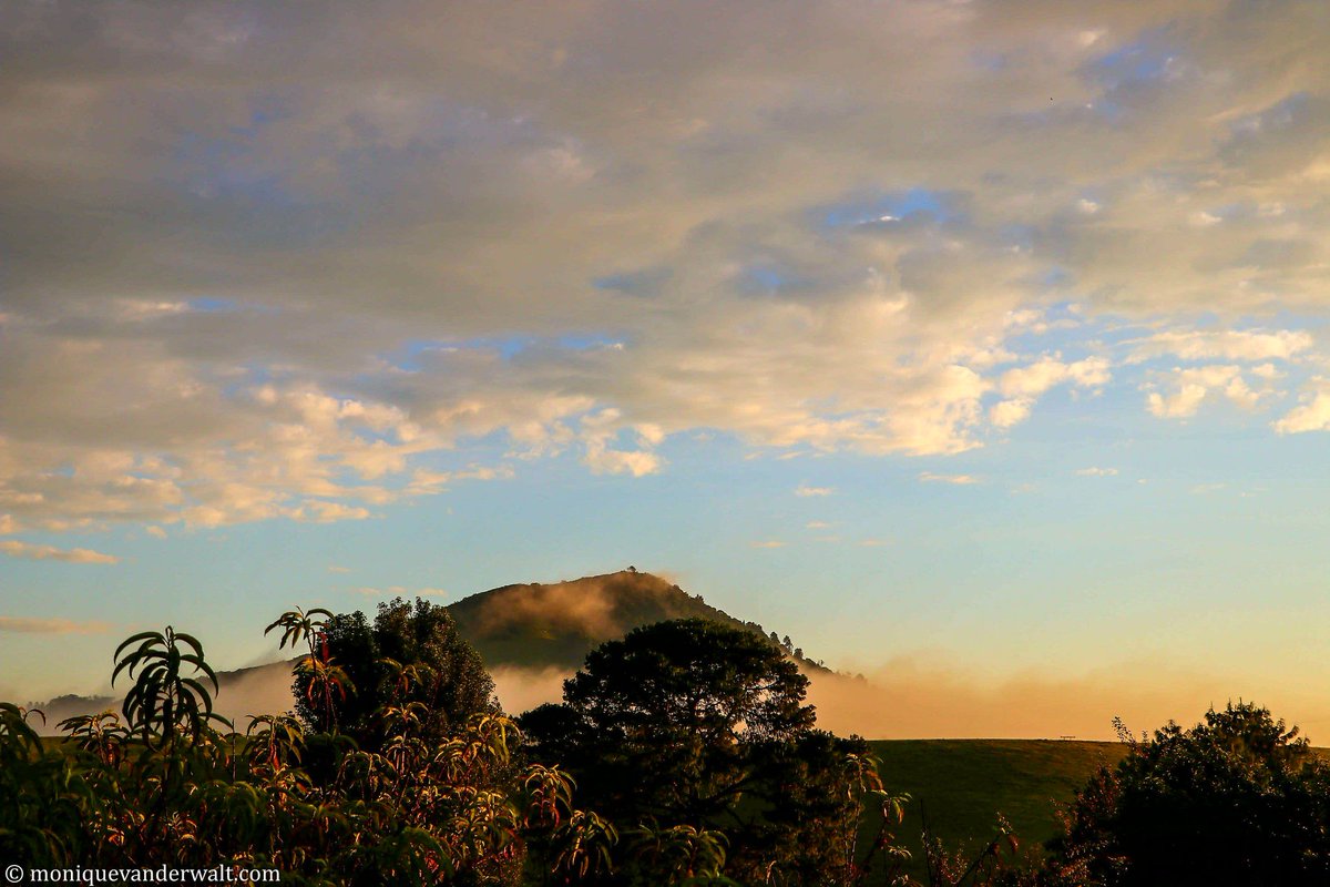 Monique_PR_'s tweet photo. ☞You were made to rise, You were made to shine🌟

Good morning Stars, enjoy today 🎁🌄 

#SaturdayMotivation #BulwerKZN #Drakensberg #KwaZuluNatal 🇿🇦 https://t.co/lI9fgys0FT