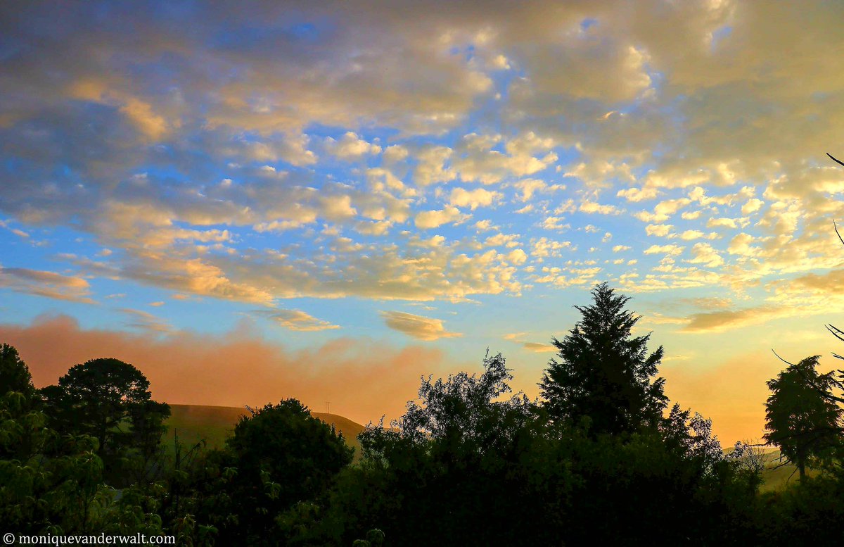 Monique_PR_'s tweet photo. ☞You were made to rise, You were made to shine🌟

Good morning Stars, enjoy today 🎁🌄 

#SaturdayMotivation #BulwerKZN #Drakensberg #KwaZuluNatal 🇿🇦 https://t.co/lI9fgys0FT