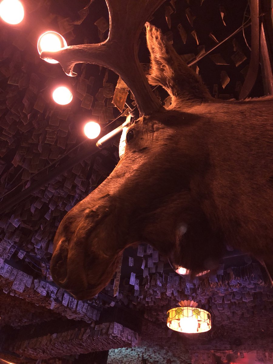 AerialPayne's tweet photo. @thecadillac3 andddd you MUST get a photo kissing he moose if you eat in 💁🏻 https://t.co/VL7Uhbfunu