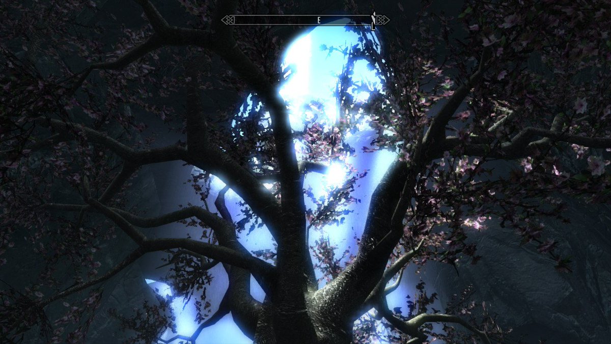 orangelantern87's tweet photo. #Skyrim #NintendoSwitch https://t.co/4MFFxr2Y5a