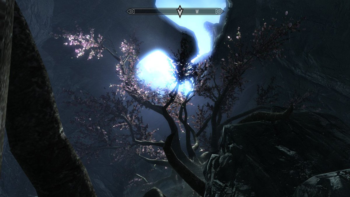 orangelantern87's tweet photo. #Skyrim #NintendoSwitch https://t.co/QeQmplNQ7f