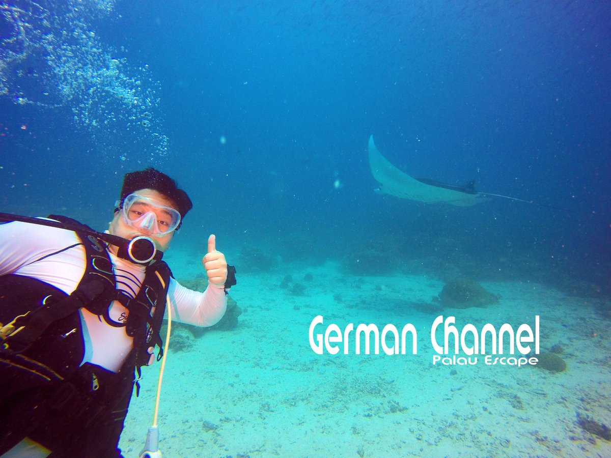 PalauEscape's tweet photo. AWESOME!.. Day of diving with AJ from Korea.. We got to see everything he requested and more... 🤙🤙🤙
#PalauEscape #Josephgucci #FrancisToribiong #PalauMantaRays #BlueCorner #GermanChannel #IROwreck https://t.co/PNQ1Fdy2Wu