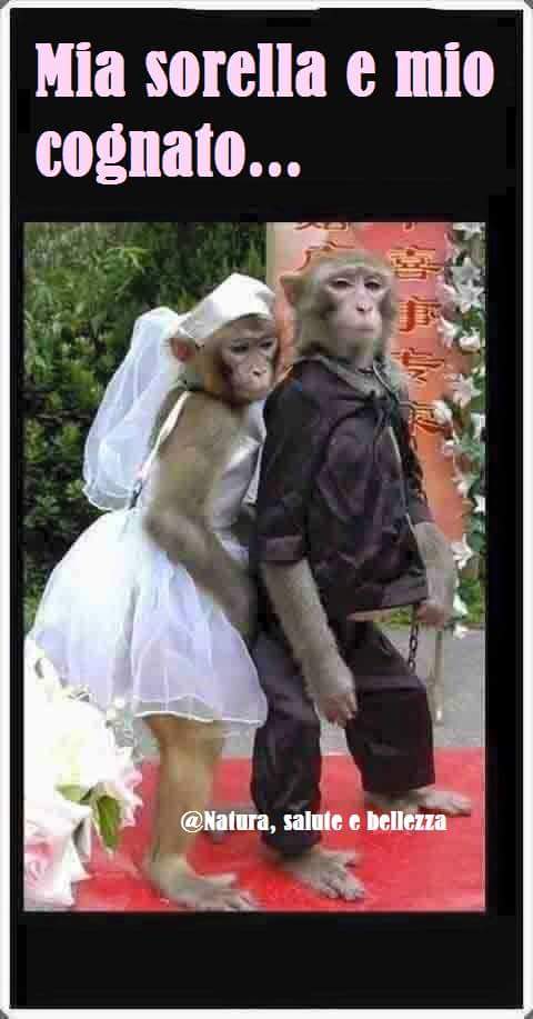 Markkone2's tweet image. 