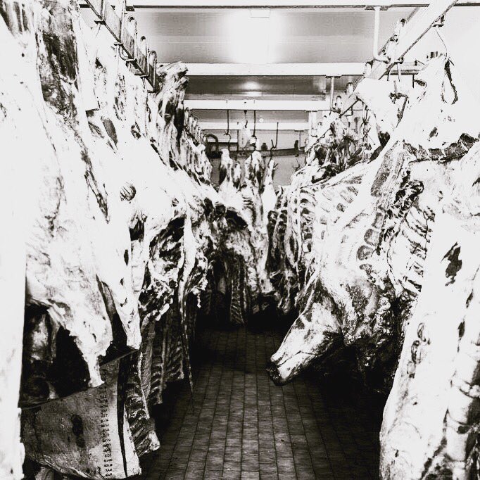 OlCattermole's tweet photo. Beef heaven! 💯% traceable, hormone free, Bovelder 🐄 https://t.co/F2Hv34cZq9