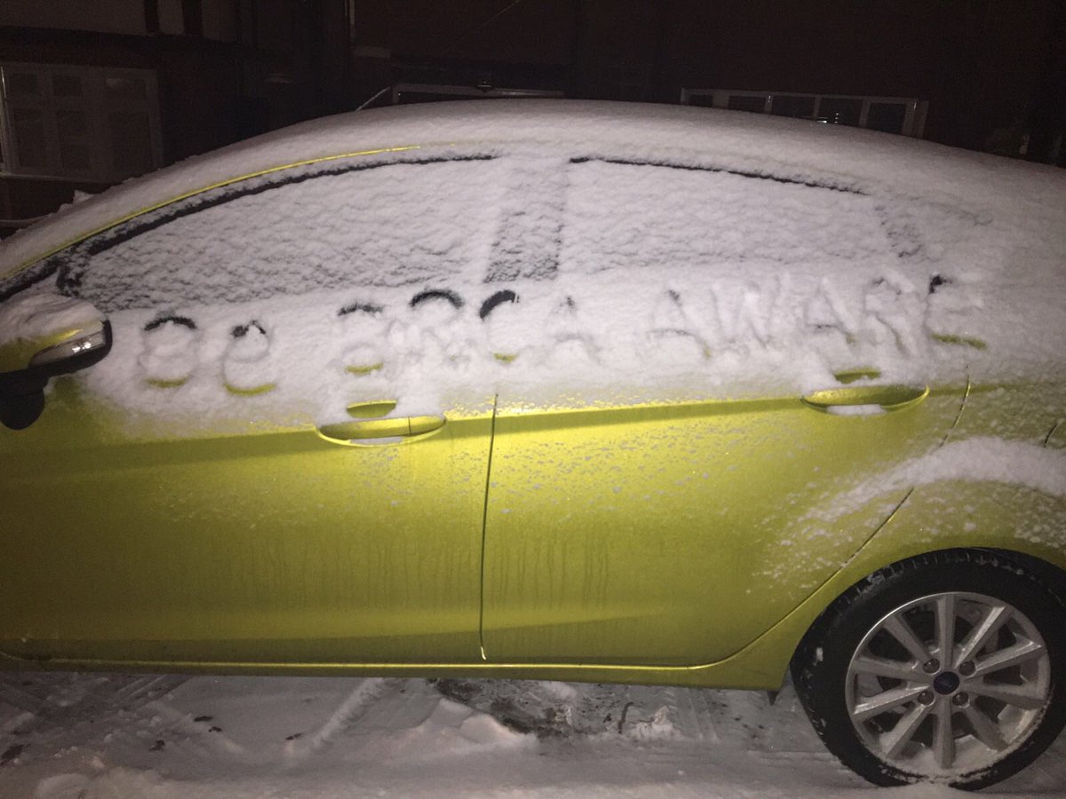 FindingCyril's tweet photo. I used the snow as a chance to raise awareness of #ovariancancer and #BRCA https://t.co/a0KX9EBJ8D