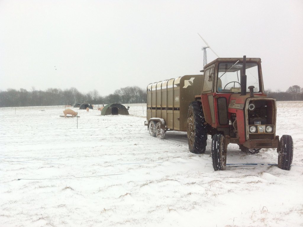 KateYells's tweet photo. Catching pigs for the @FarmShopOrganic yesterday #inthesnow #TopTractor #NewWorkHorse 🚜 https://t.co/kyd9Oj7hbP