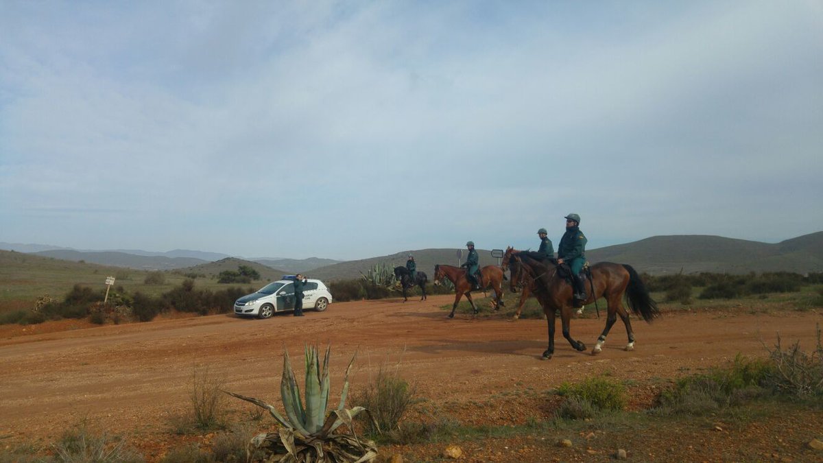 zoidoJI's tweet photo. Se amplía el radio de búsqueda de #GabrielCruz con agentes territoriales, Seprona y Usecic de la @guardiacivil. También se inspecciona la costa con el Servicio Marítimo y GEAS y la sierra con el GREIM. Participan Bomberos, Protección Civil, 112, Policía Local y 500 voluntarios. https://t.co/Es1gAZFwOa
