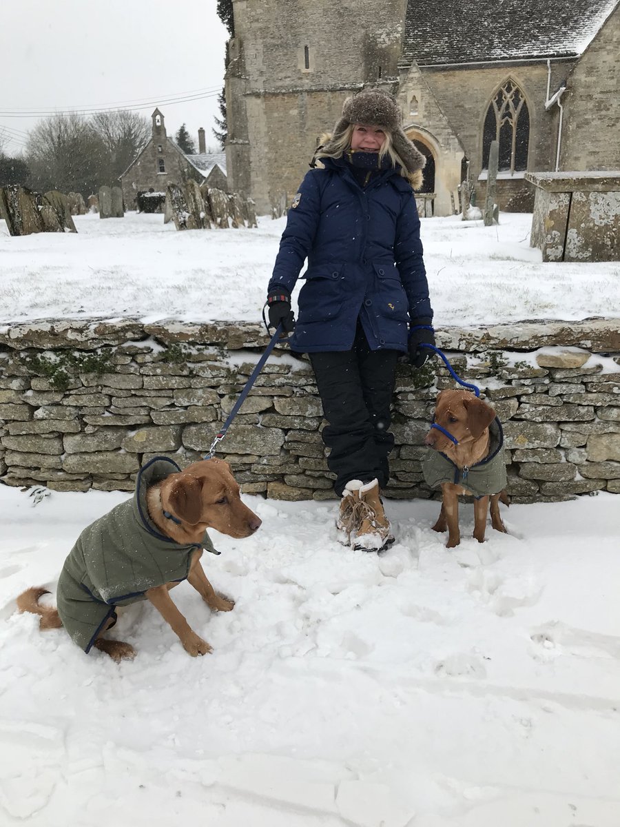 emmsy40's tweet image. Fab walk this morning with my gorgeous foxred labs #snow #latton #grateful #tollodge