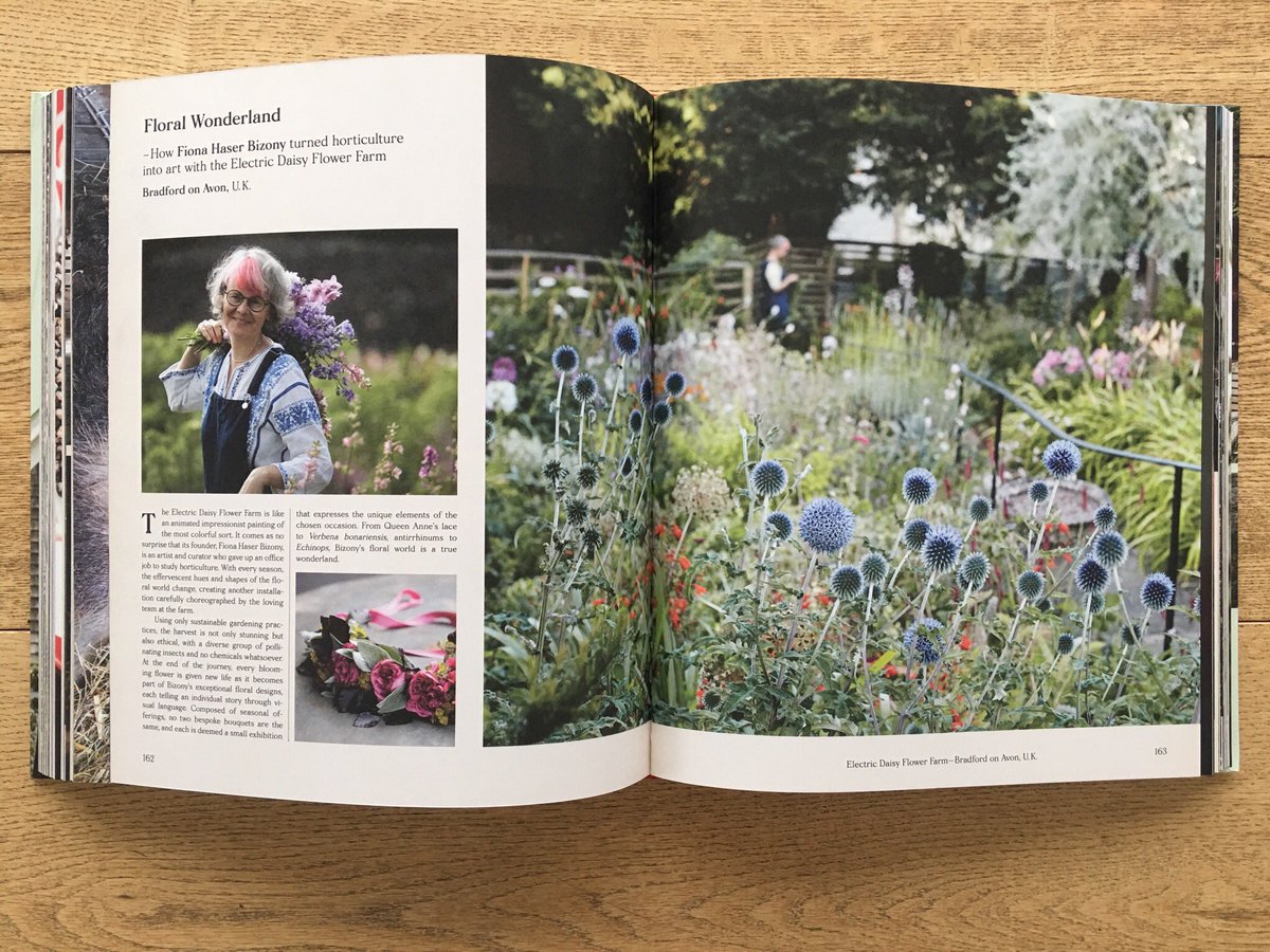 Happy to be in @GestaltenNews #farmlife with so many other #indifarmers perfect showcase for #slowflowers #organicflowers #britishflowers