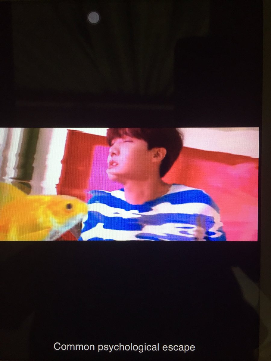 piedcypherV's tweet photo. Streaming real hard this weekend. I hope my laptop can handle all the tabs of YouTube that are playing since 2 hours ago.
방탄소년단 #iHeartAwards #BestFanArmy #BTSARMY @BTS_twt #HixtapeisHere #HopeWorld #HOPEWORLDMixtapeOUTNOW HOPE WORLD https://t.co/sI9bg61OY8