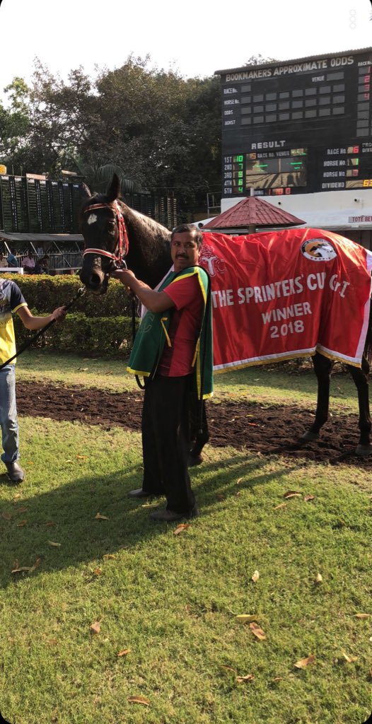 Pallonshroff's tweet photo. Never fails to impress . Ruffina in the Sprinters Cup GR1 @TurfRoyal . https://t.co/pTVQHver4U