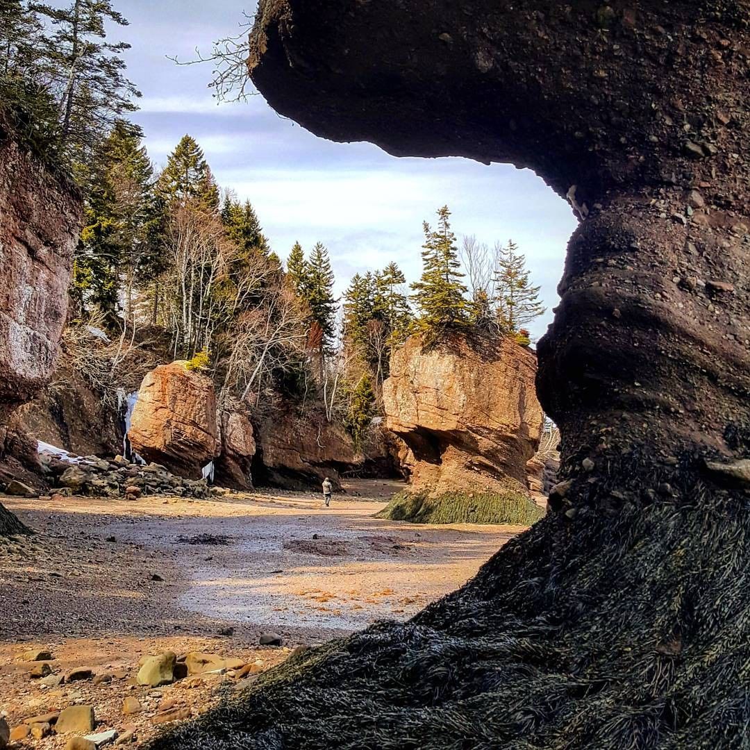 DestinationNB's tweet photo. 📍 Hopewell Rocks, New Brunswick
📷 : blberry33 / IG
#ExploreNB #ExploreCanada https://t.co/qecfHfs66y