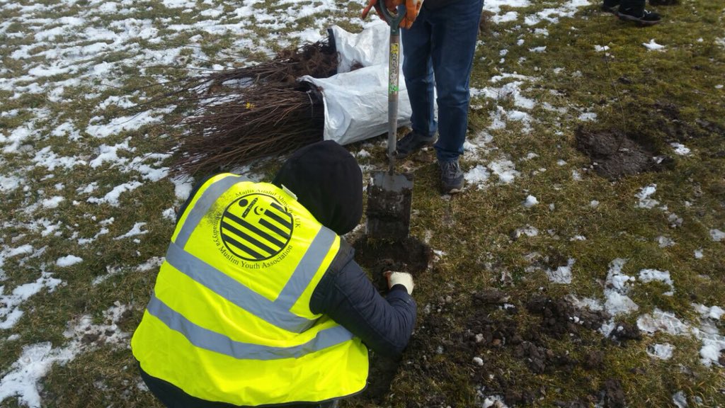 Ahmad_MustafaMr's tweet photo. Despite very cold weather Muslim youth from @MuslimYouthOL @MuslimYouthMcrN &amp; AMYAStockport busy planting trees in Failsworth organised by @CityofTreesMcr @TheOldhamTimes @MENnewsdesk @stockportnews @StockportMBC @OldhamCouncil @BBCManchester https://t.co/rsPEWGGsPf