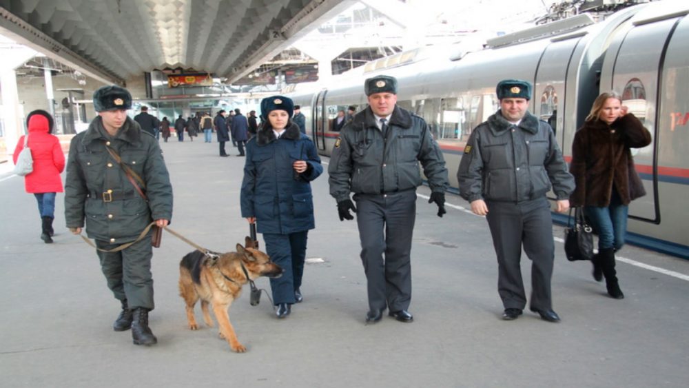 Дней транспортными службами