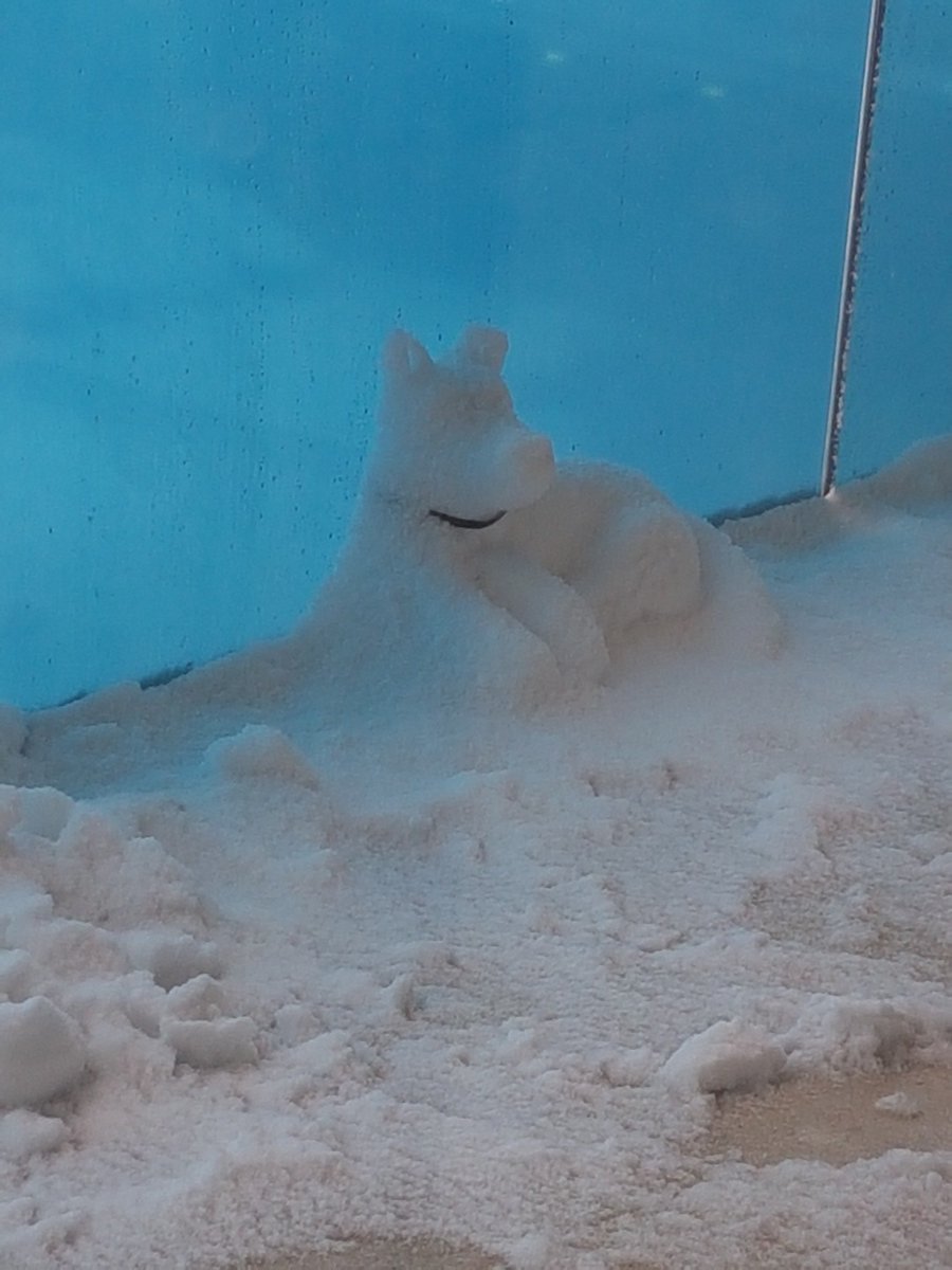 anni2aki's tweet photo. No doggos were harmed in the making of this masterpiece (you know you have awesome neighbours when they make a snowdoggo instead of a snowman!) Stay warm and safe all #StormEmma https://t.co/LCCeAEV7N8