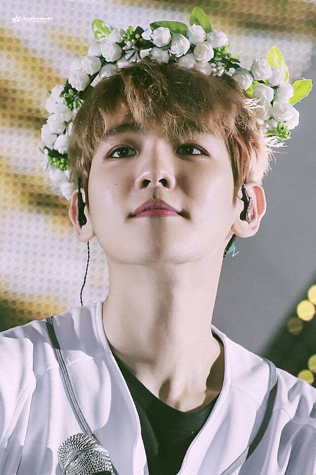 skukzyy's tweet photo. @dbaekyun PRINCESS Q https://t.co/R9MWCKcB0U