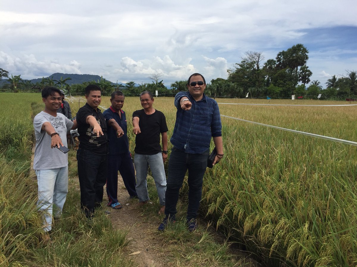 community_113's tweet image. Survei Tim 113 Community bersama kelompok tani Mamminasae.

#DIAmi
#113community