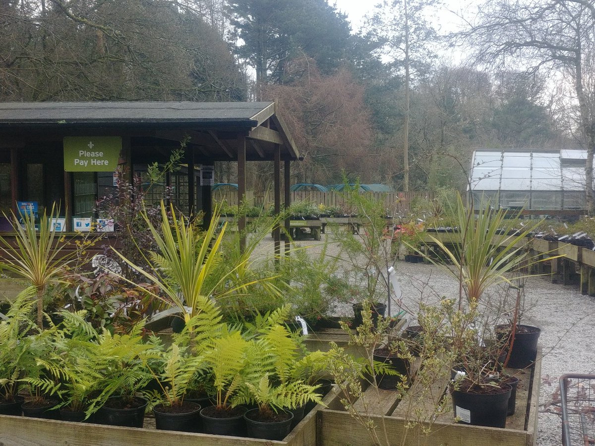 Gary Head Gardener Long (@trewithengarden) on Twitter photo Good morning. The #gardens and tea shed are open today (at last 2 days late due to #StormEmma). Spring time woodland garden plus tea/coffee and cake = #goodtimes see you all later. <a href="/VisitTruro/">Visit Truro</a> <a href="/We_are_Cornwall/">We are Cornwall</a> <a href="/The_RHS/">The RHS</a> <a href="/VisitRoseland/">Visit the Roseland</a> Good morning. The #gardens and tea shed are open today (at last 2 days late due to #StormEmma). Spring time woodland garden plus tea/coffee and cake = #goodtimes see you all later. <a href="/VisitTruro/">Visit Truro</a> <a href="/We_are_Cornwall/">We are Cornwall</a> <a href="/The_RHS/">The RHS</a> <a href="/VisitRoseland/">Visit the Roseland</a>