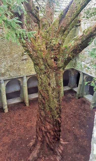 IrelandPics4's tweet photo. Ireland 2016 1736x2918 https://t.co/hqkzSKEqTr #Ireland https://t.co/v5lV4lRaAI