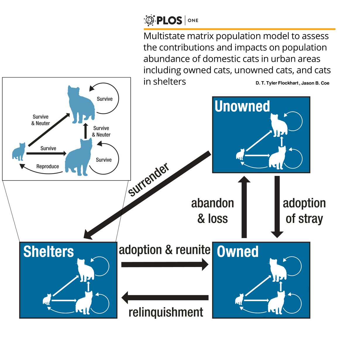 Tyler Flockhart tweet media