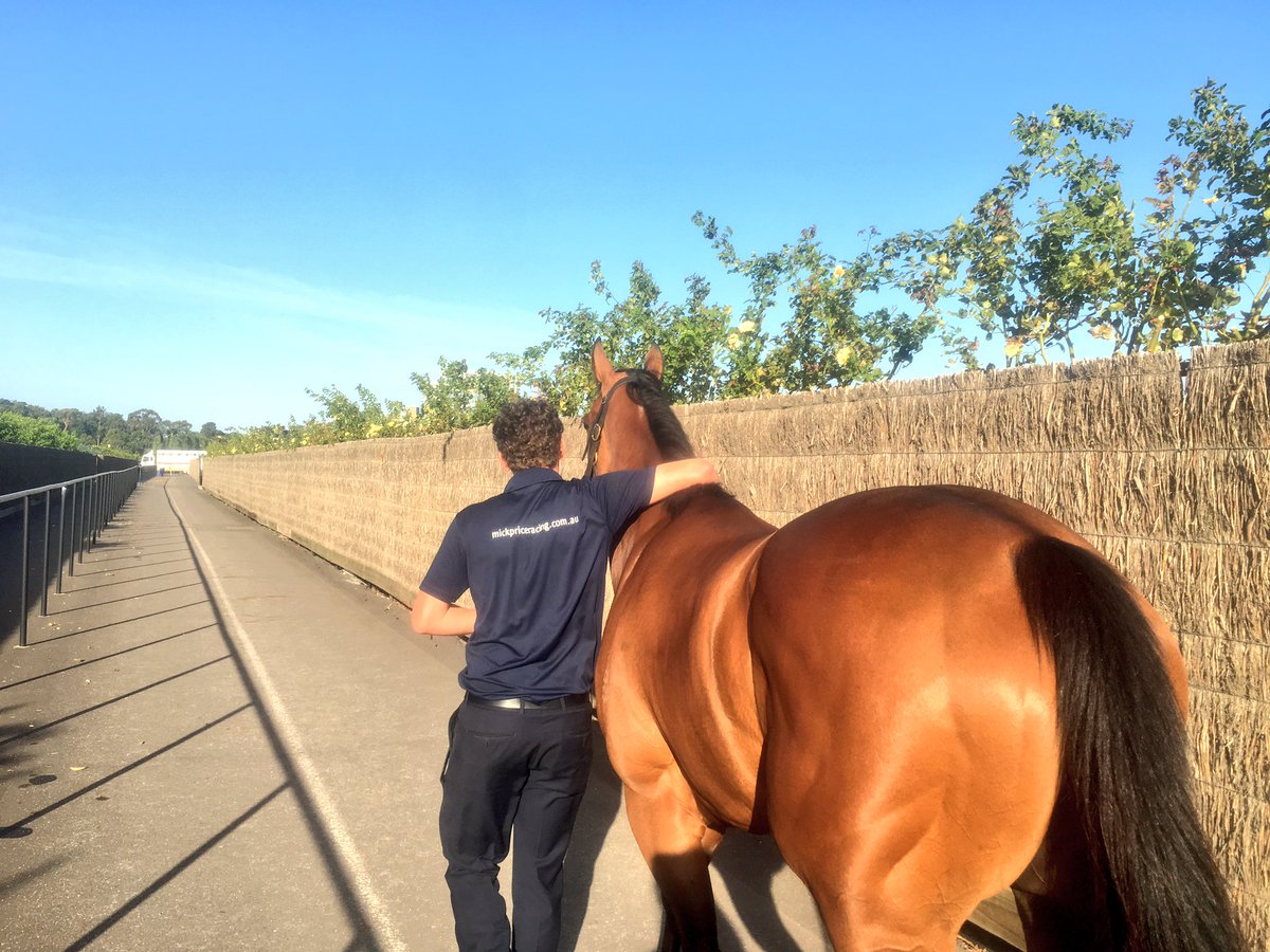 Price Kent Racing tweet media