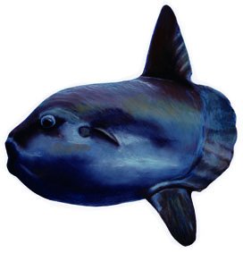 ピースピース ディレクター 絵本作家の作品 まんぼう T Co Mh4jbdh3ur Twitter