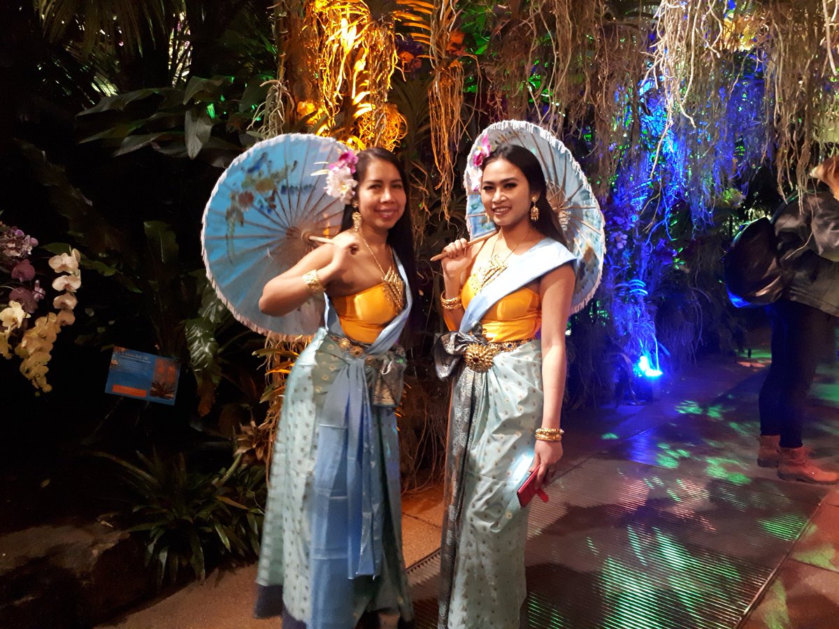 Thai dancers hire desythai.com.