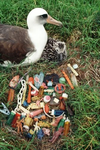 mcsuk's tweet photo. 🐣PLASTIC FREE EASTER EGG HUNT🐣

Before you buy #Easter eggs for your own hungry little chicks, will you take on our challenge to find plastic free ones?

Retweet for awareness or tag your #PlasticFreeEggs 👇👇👇

PS. Sign to #STOPthePlasticTide: https://t.co/1q1AvMie8m https://t.co/HB0OsUaPXS