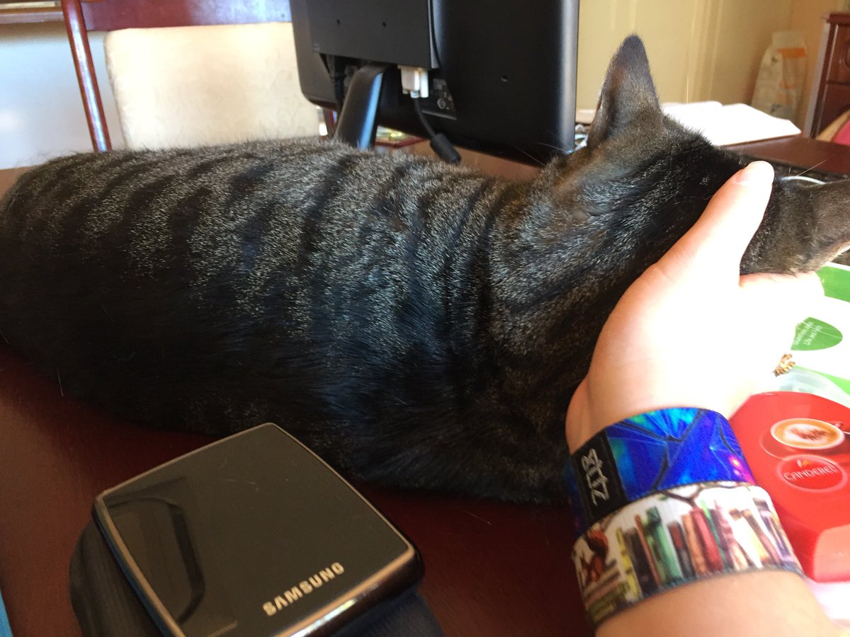 ObabScribbler's tweet image. When you’re trying to work and the car falls asleep like this...