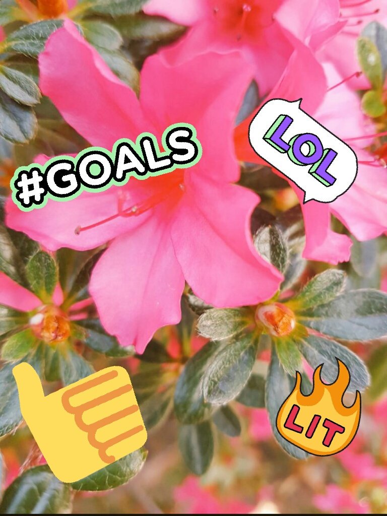 TheAlessandra05's tweet photo. https://t.co/HugOwt1nLH