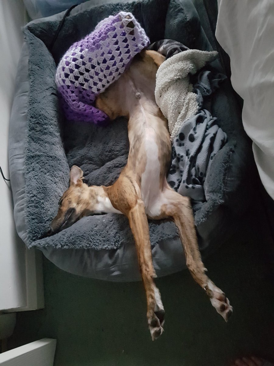 Does anyone else live half their life upside down?