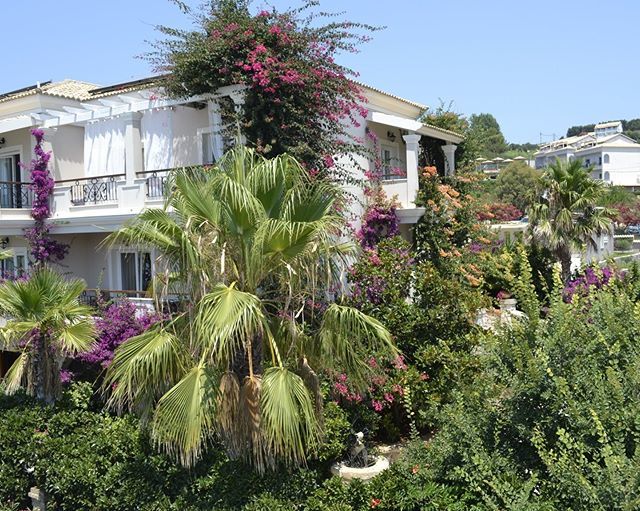 Hello March!

#DelfinoBluHotel #Spring #Flowers #Corfu #holiday #instatravel #instalive #darlingescapes #holidaygoals #hotelgoals ift.tt/2H2qr27