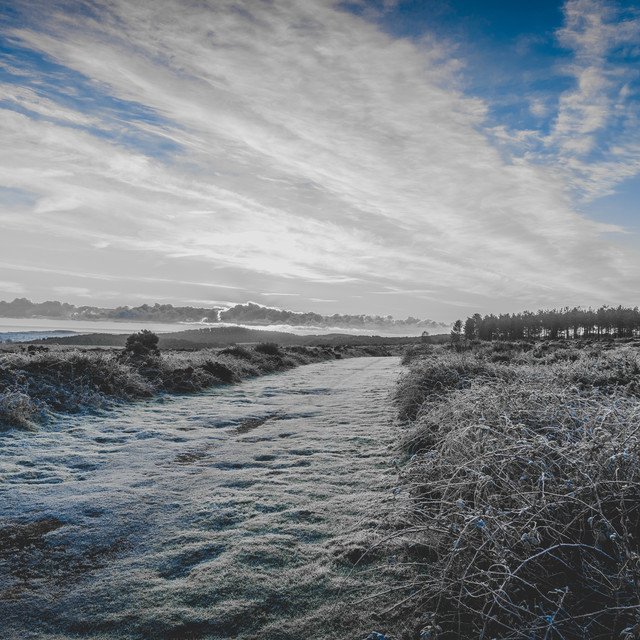 leepotter74's tweet photo. Giving one of my winter woodbury shots the duo tone treatment with my Blues Rock preset.
#wintertones #frosty #trekking #hiking #hikingtrail #sonya6500 #landscapephoto #hikingadventures #outdoorphotography #beautifulscenery #ukphotography #woodbury #visitdevon #devon #frost https://t.co/CioqGKcgnf