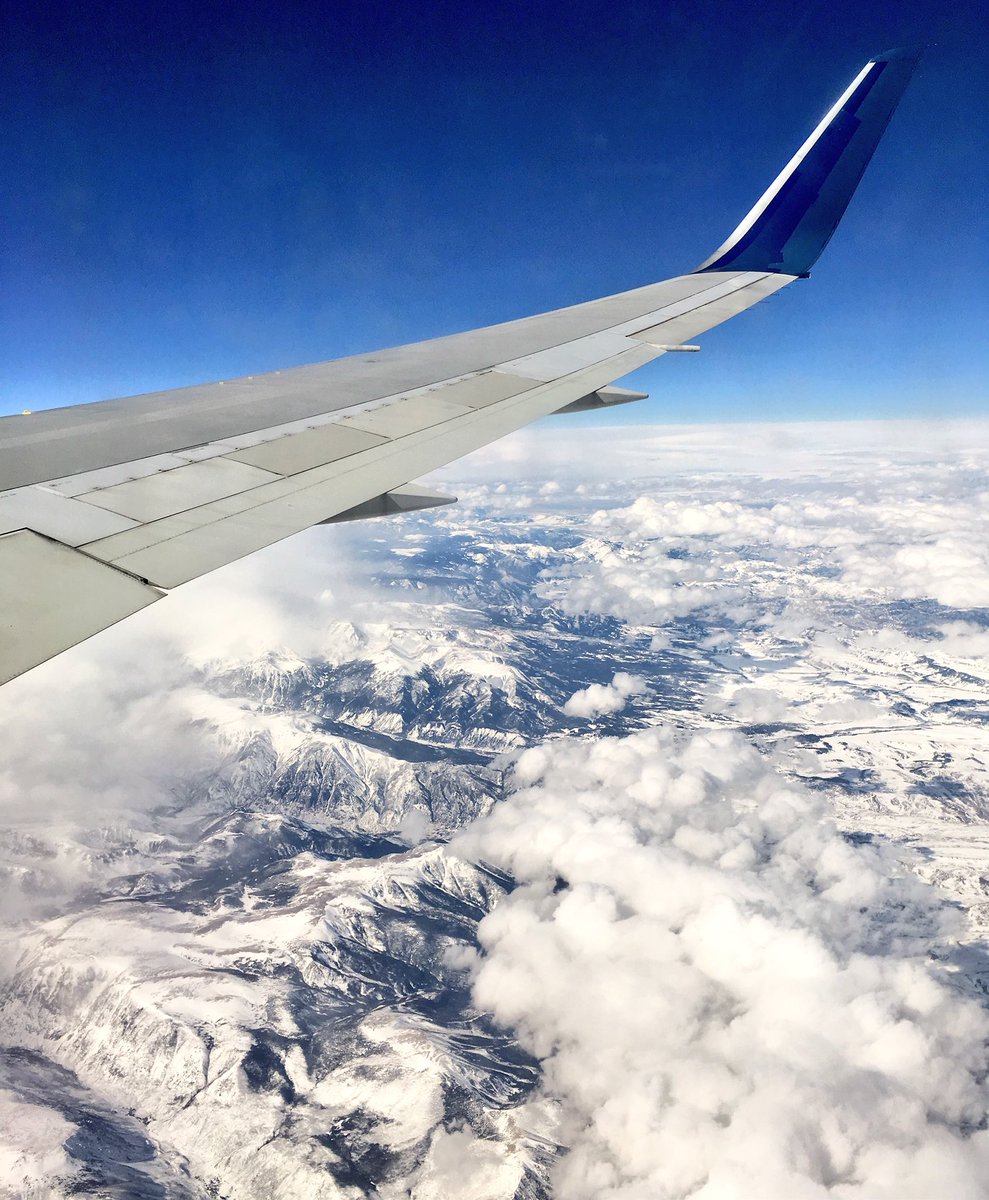 DeezData tweet media