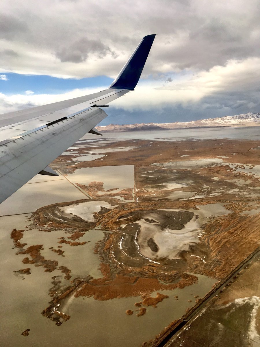 DeezData tweet media