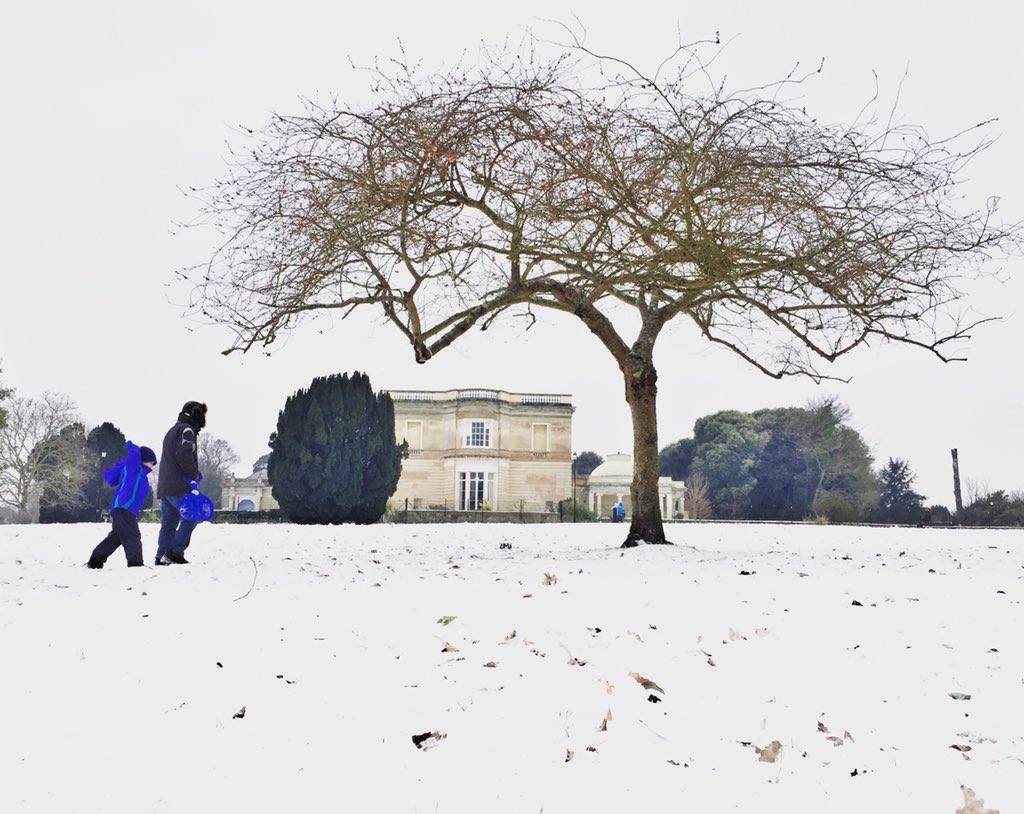 EVBaugh's tweet photo. Ok  #BeastoftheEast that will do. Time to let #Spring begin. This tree is all set to blossom, and daffodils and crocuses are poking through the snow. Join me on #Instagram evbaugh for more pics #writerslife #isleofwight #northwoodhouse https://t.co/vC7enlTOJ5 https://t.co/QPtLb3VxMq