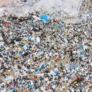 DowenHartlepool's tweet photo. PLASTIC: An example of some of the micro pieces of plastic commonly found on beaches, which are known as nurdles.

VOLUNTEERS will be carrying out litter picks on two Teesside beaches and are inviting members of the public to join them.

See more: https://t.co/hU6P4aVofy https://t.co/LCkSb5lRVw