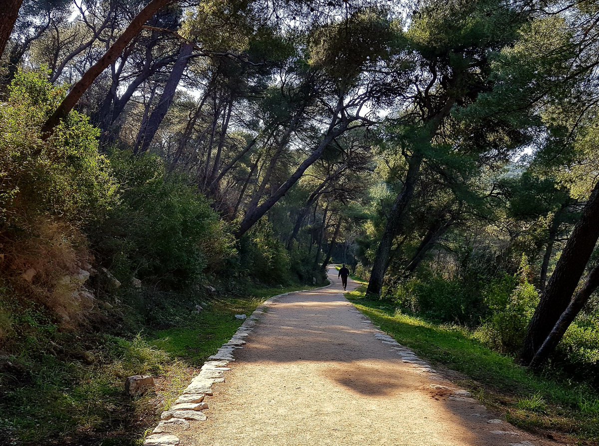 duactiveholiday's tweet photo. Run Dubrovnik Tour 10K includes running park Petka 🌲 Petka is a small hill with evergreen vegetation, forest and pathways for running. Enjoy discovering this part of the city :)🏃🌳

https://t.co/Z85cJxLZZU
#Dubrovnik #dubrovnikactiveholidays #running #biking #swimming #kayking https://t.co/9HOipq11WF