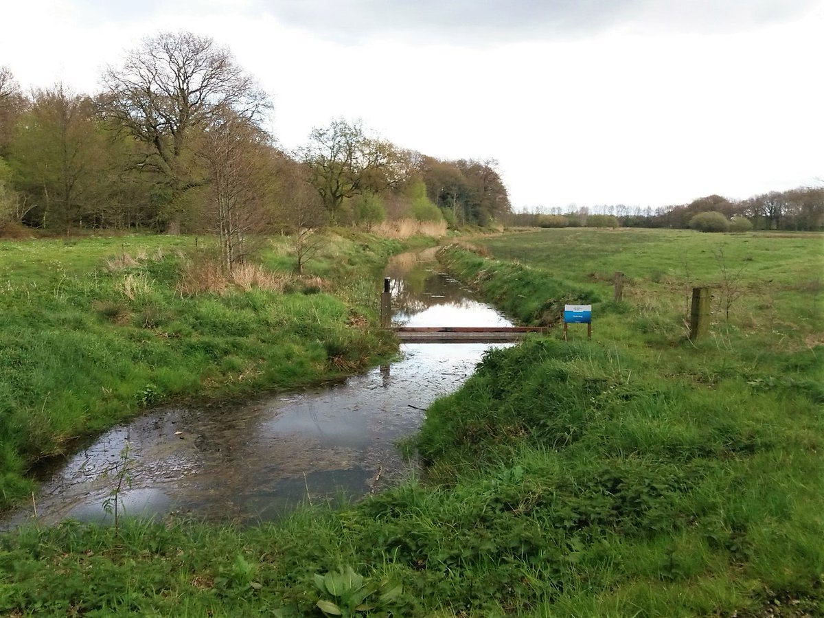 WDODelta's tweet photo. Wateroverlast brongebied #OudeDiep @middendrenthe wordt aangepakt! Op dinsdag 6 maart is er in Dorpshuis ’t Broekhoes in #Balinge een #inloopbijeenkomst  over het plan. Van harte welkom tussen 16.00/17.30 en tussen 18.00/20.00 uur https://t.co/valdmVs6S4 @KrantvMDrenthe https://t.co/X1WdxOzjq1