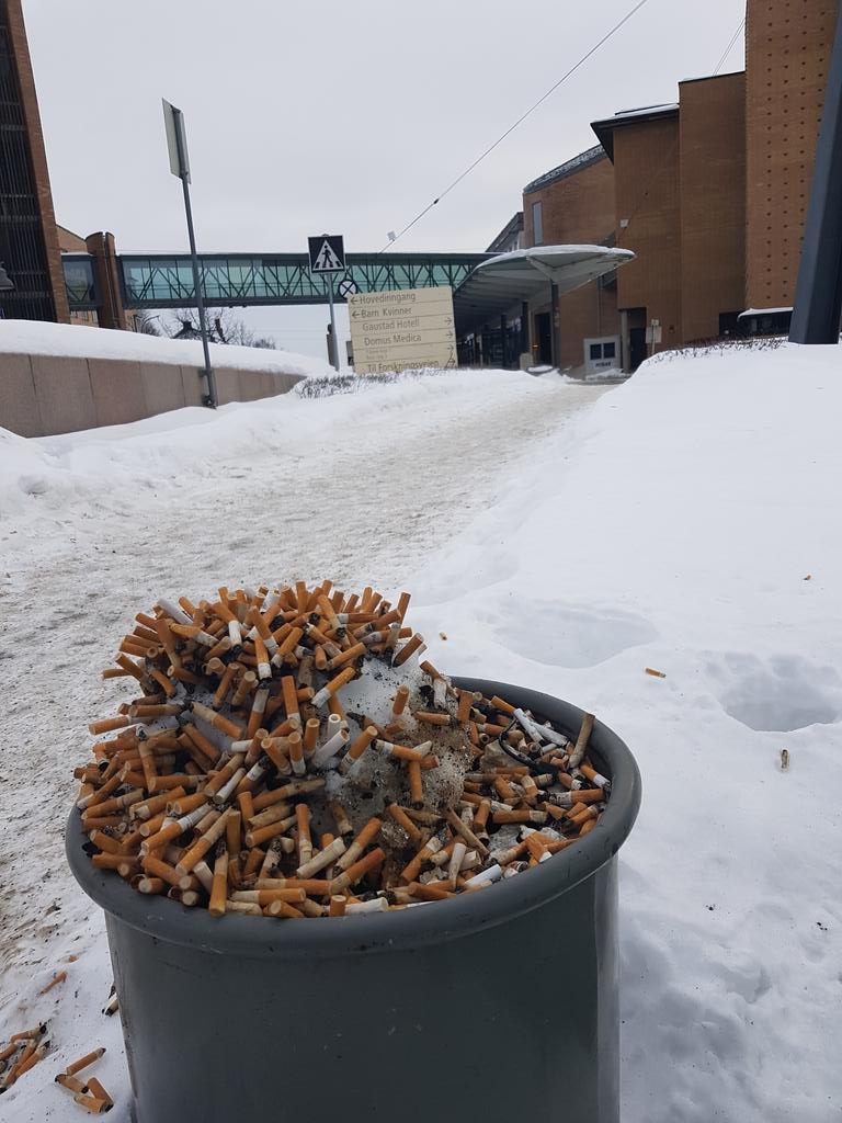 Tar veien forbi Rikshospitalet en morgenstund og finner denne planten gjødslet av fascinerende  selvdestruktivitet.
Liker at vi er så komplekse og fine.