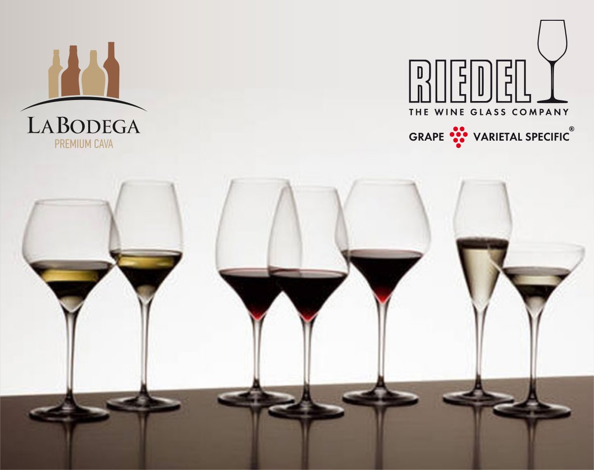 Labodegapaphos's tweet image. High-quality wine glasses by Riedel, a must have set for every passionate wine lover!  🍷🍷 

Find them now at 👉 La Bodega Premium Cava

#LaBodega #Wine #Decanter #Riedel #ShapeMatters #WineGlass