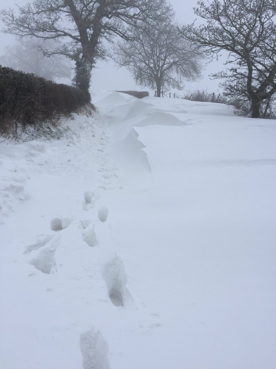 The road between Little Wenlock and The Wrekin is again completely covered and impassable due to the snow drifts. It looks very impressive but one of our local farmers is on the way to help get it clear. #wmgrit
