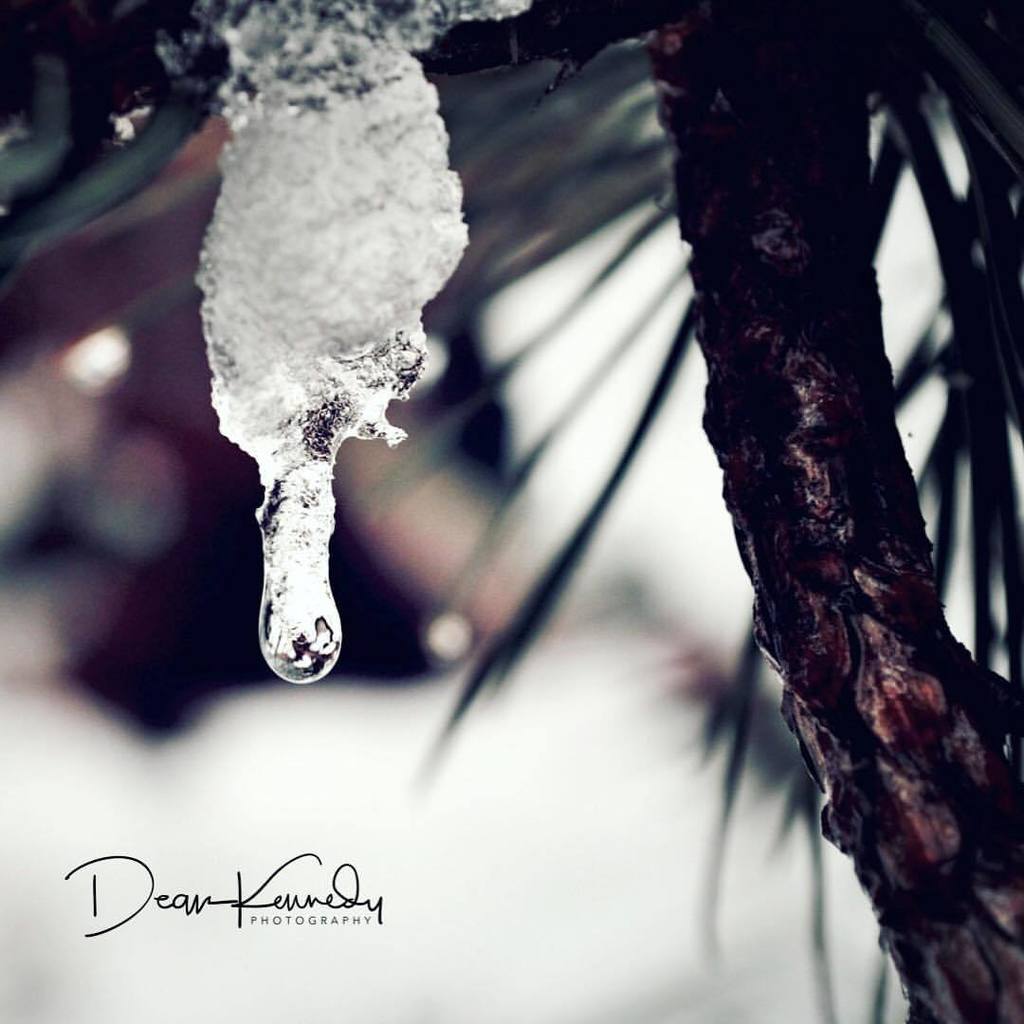 dkenphoto's tweet photo. Looks like #stormemma is melting.

.

.

.

.

#bigfreezeisover #stormemma2018 #snow #ice #icedrop #snowdrop #melting #fantastic_earth #uk #thisislondon #deankennedyphotography https://t.co/wtryx2QN9M